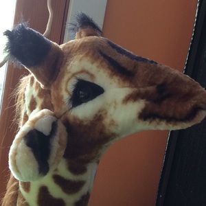 Meet your Posher, Chhaya